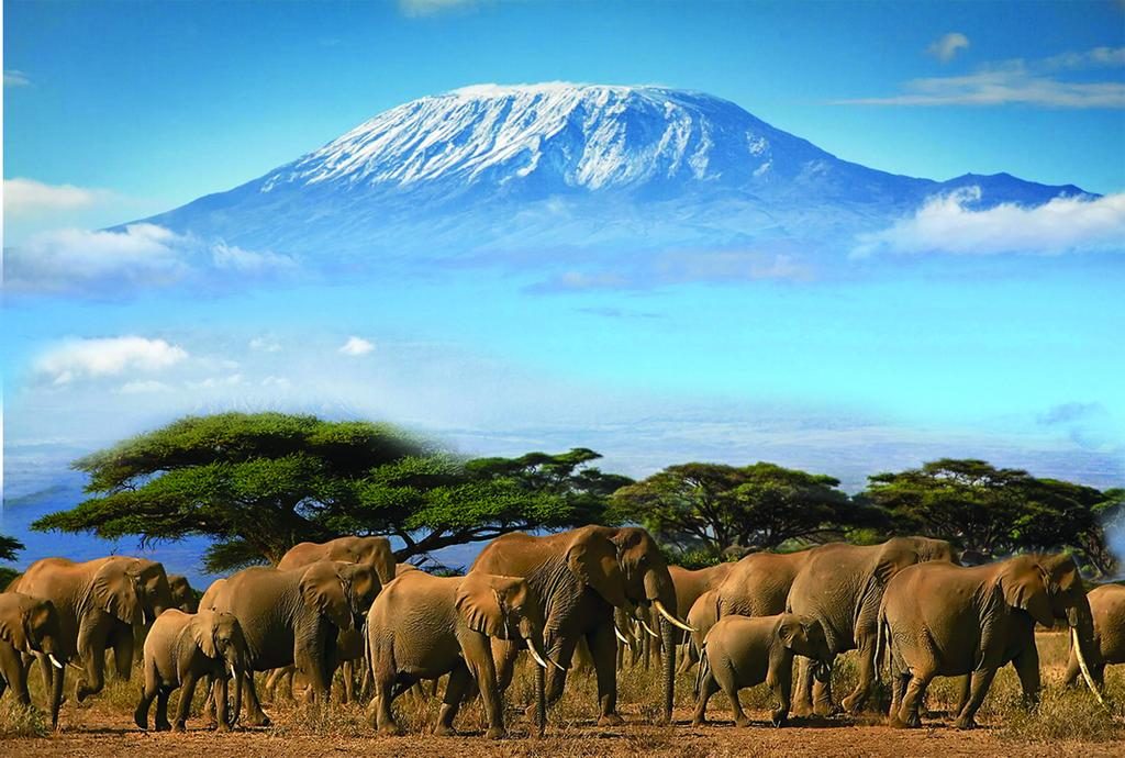 Amboseli National Park Fees