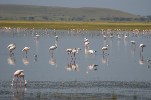 Amboseli National Park attractions