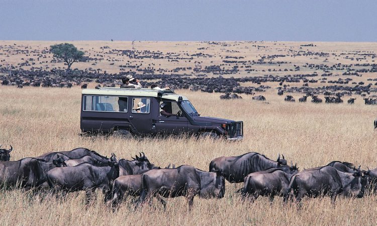 Maasai Mara National Reserve | Kenya Safari Destinations