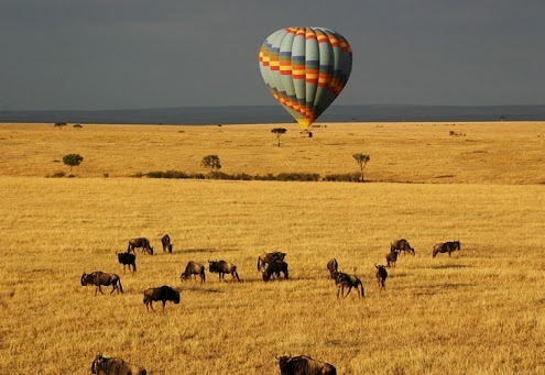 Things to do/activities done in Masai Mara National Reserve