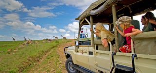 Activities done in Aberdare National park Kenya 