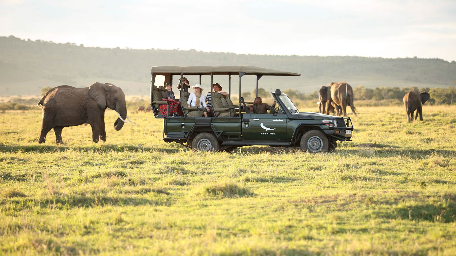 Game Drive Safari in Maasai Mara National Reserve