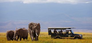 Game Drive in Amboseli National Park