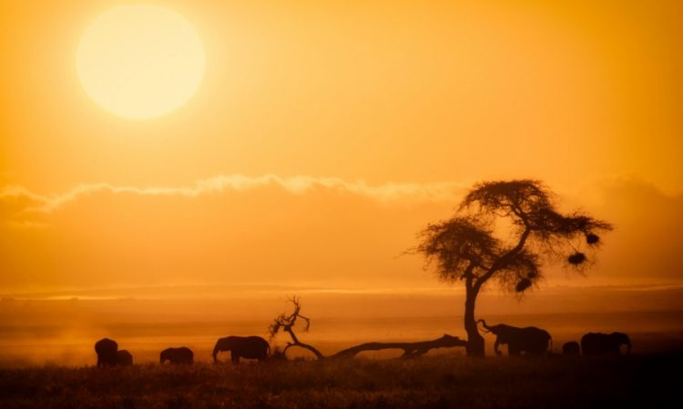 Amboseli National Park weather in July