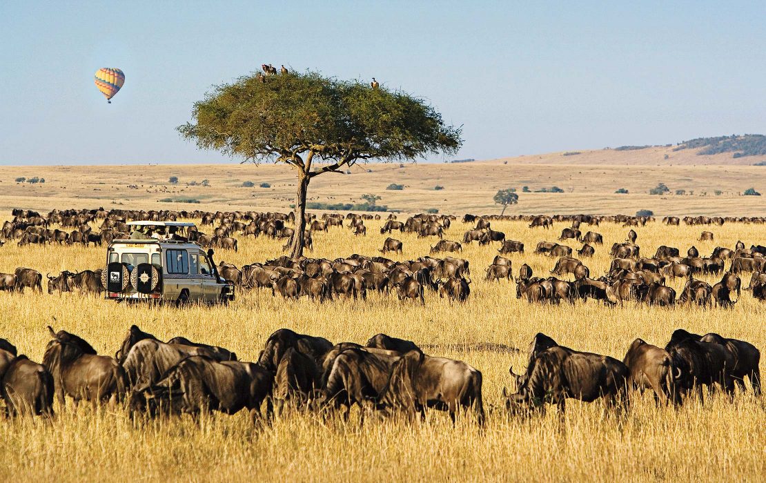 3 Days Masai Mara Wildlife Safaris