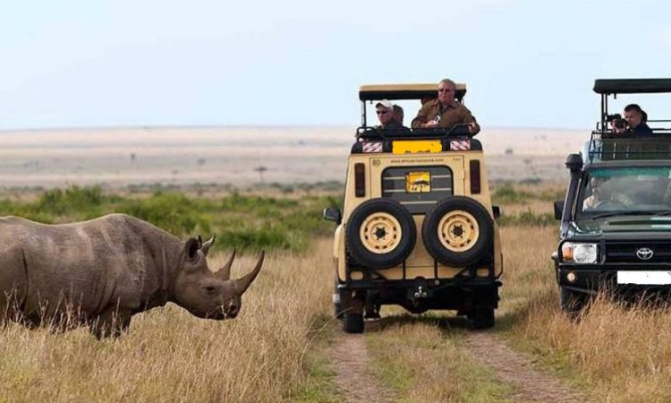 9 Days Best of Kenya Wildlife Safari