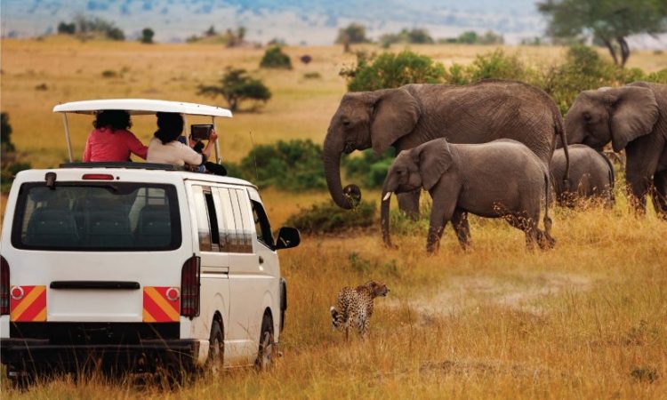 Safari Activities in Amboseli National Park