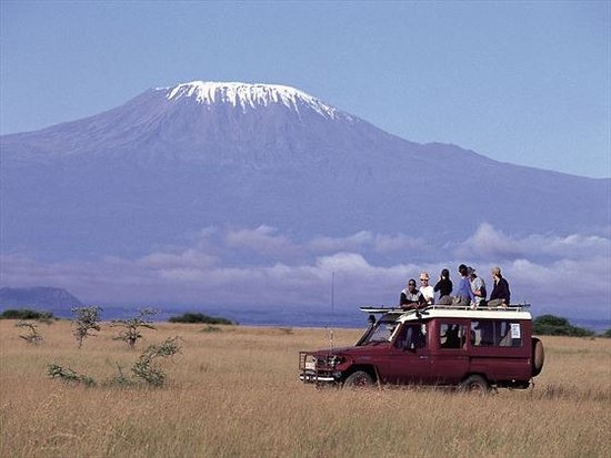 game drives in amboseli national park