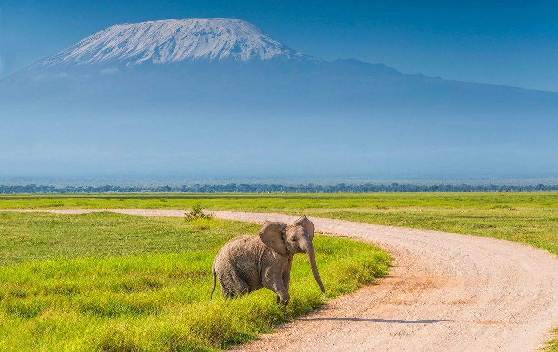 Five Reasons Why You Should Visit Kenya