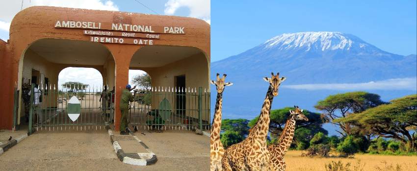 New Park Fees to Amboseli National Park July 2022 – December 2024