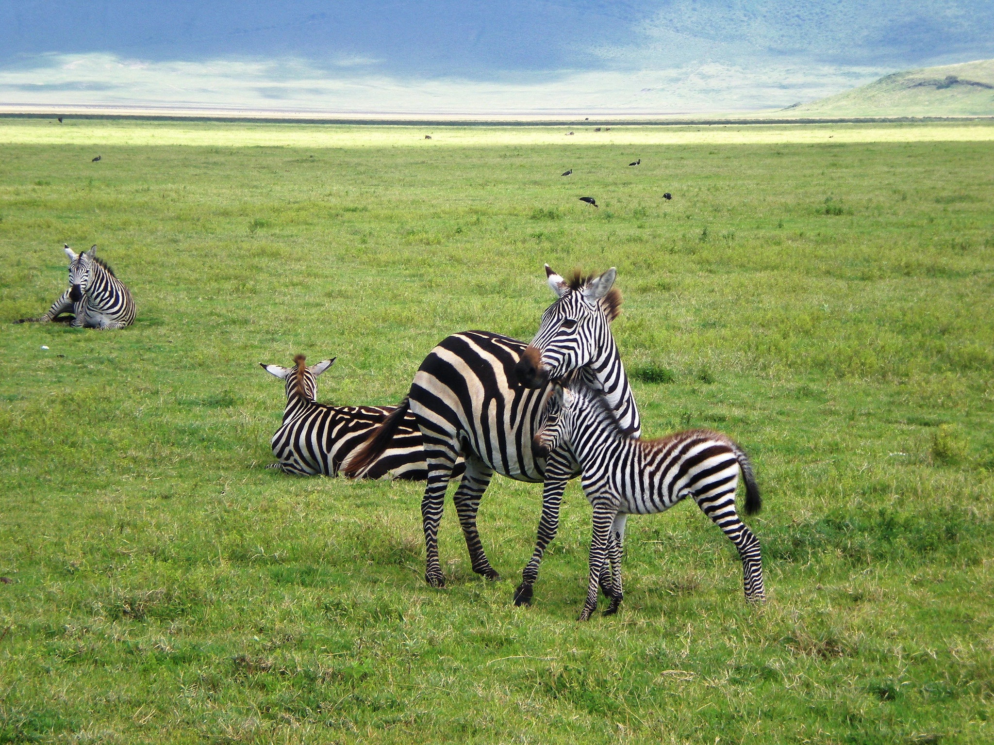 Benefits of Low Season Safaris in Kenya