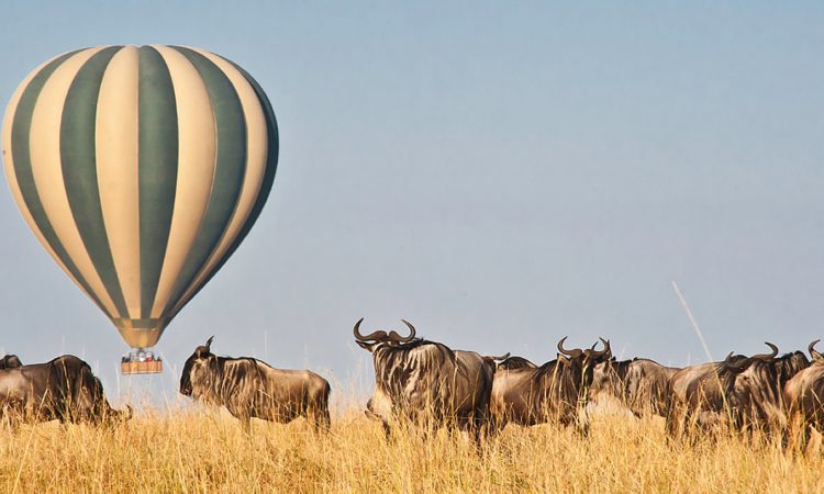 Unforgettable safari experiences in Kenya