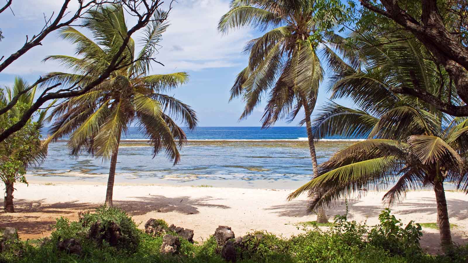 What is the best time of year to visit Kenyan coast 