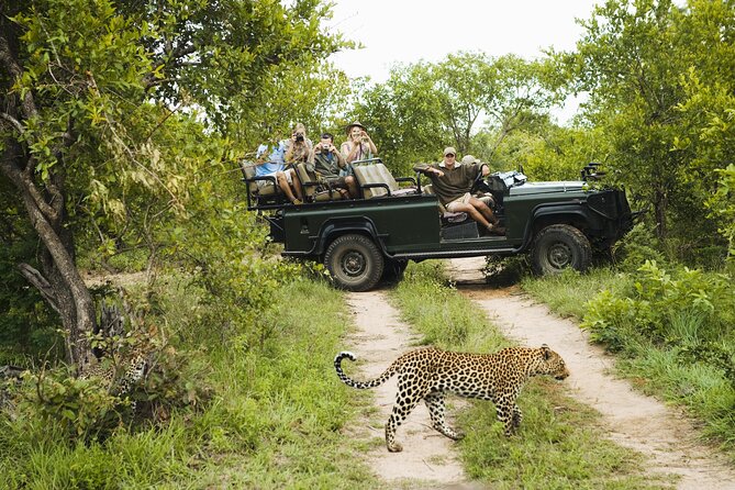Where are the best places to take your first safari