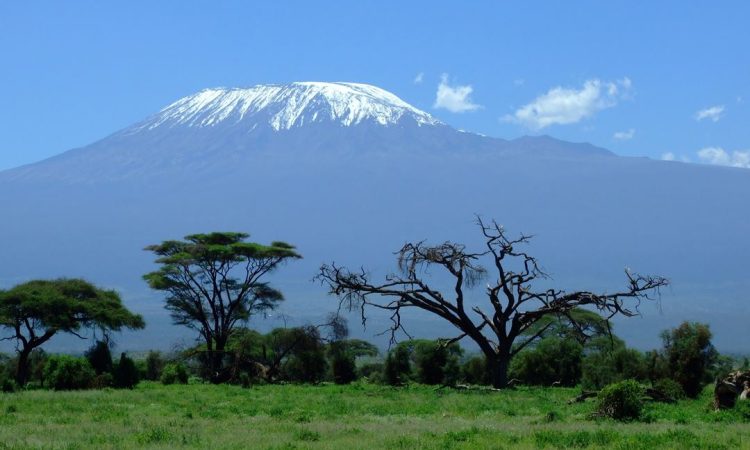 What is the weather on Mount Kilimanjaro?
